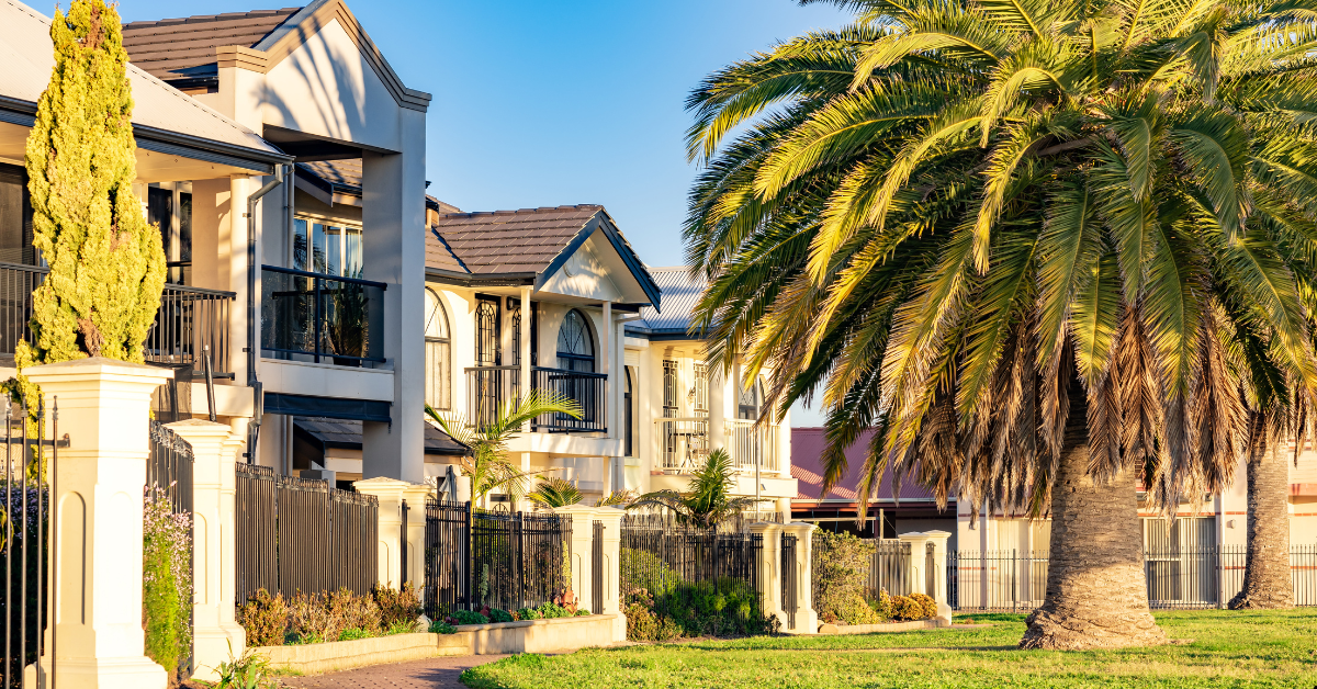 Off Market Properties - Typical Australian House and Property and there is a coconut tree in front of the property
